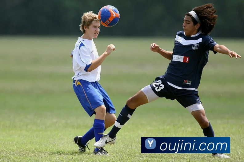 互动解说服务